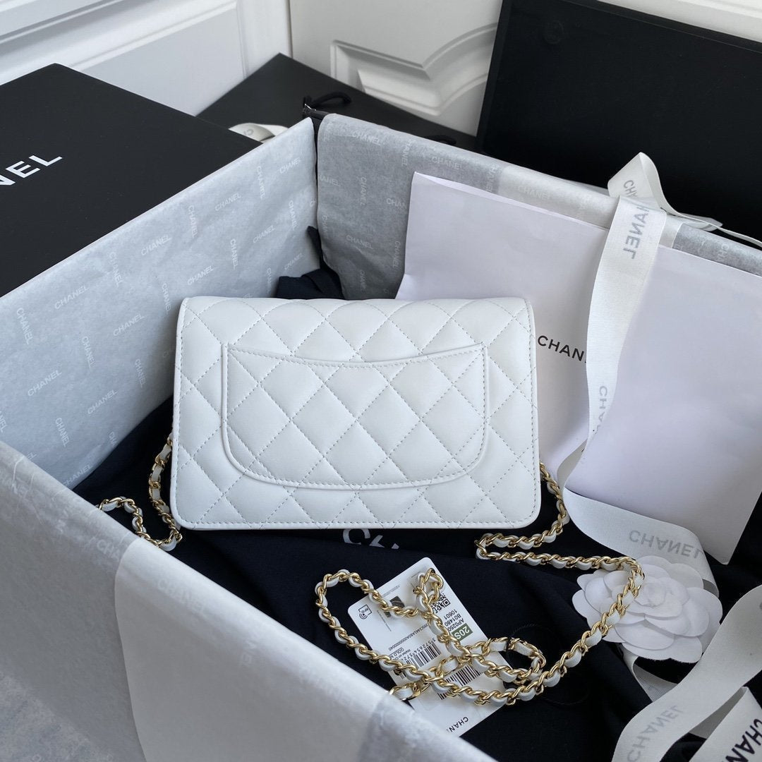 classic-handbag-1 ohter