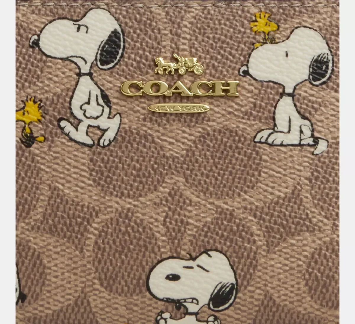 peanuts-x-coach-snap-wallet ohter