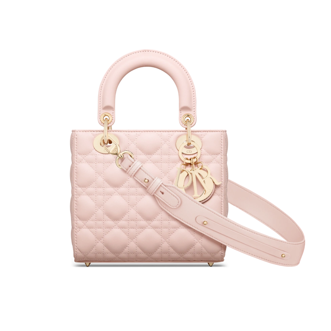 pink-lady-bag Handle