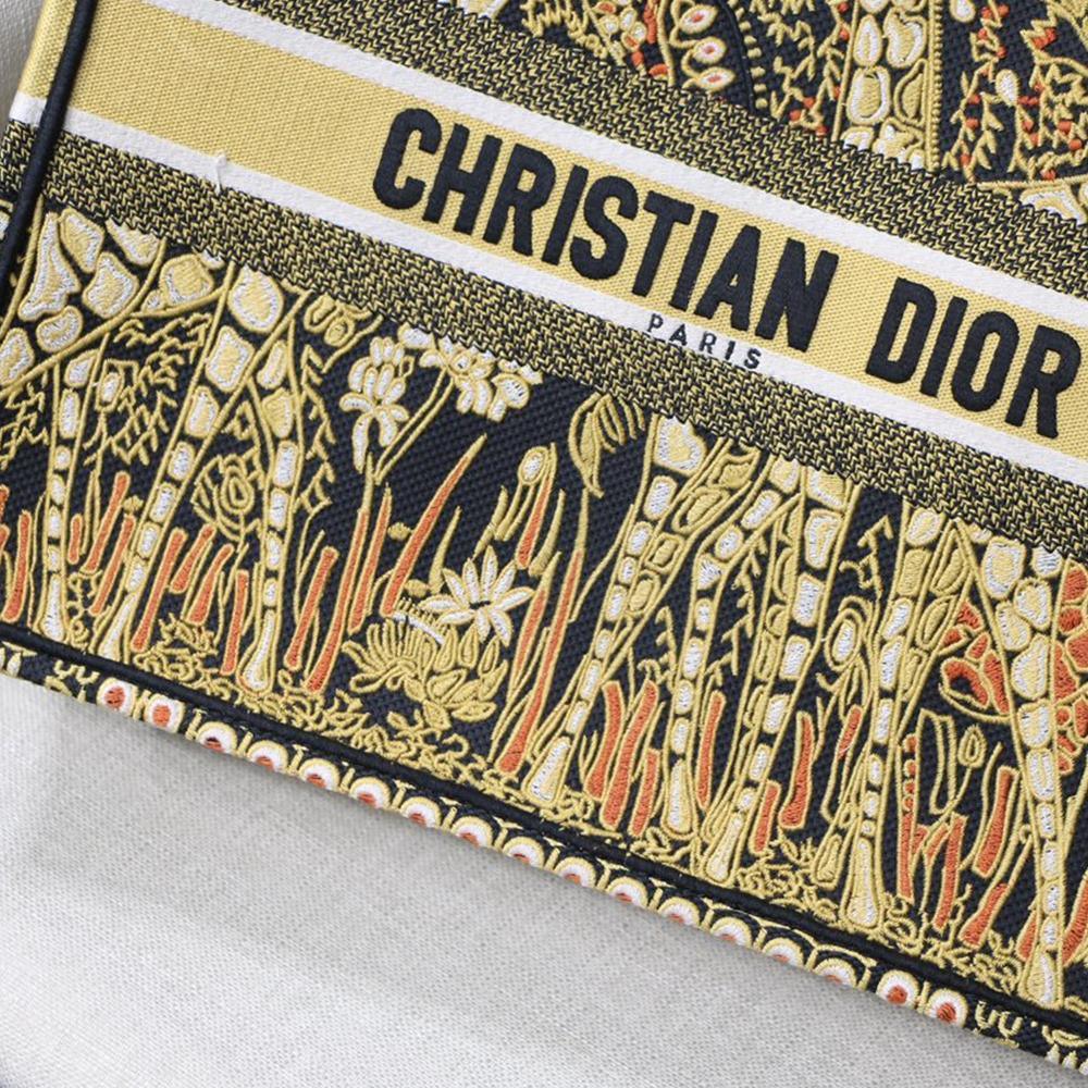 dior-book-tote-5 Tote