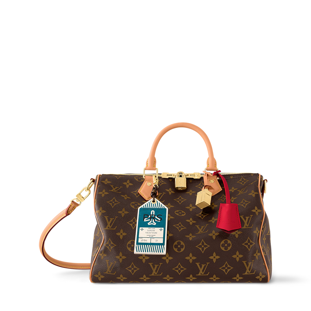 lv-speedy-soft-30-crafty-bag Handle
